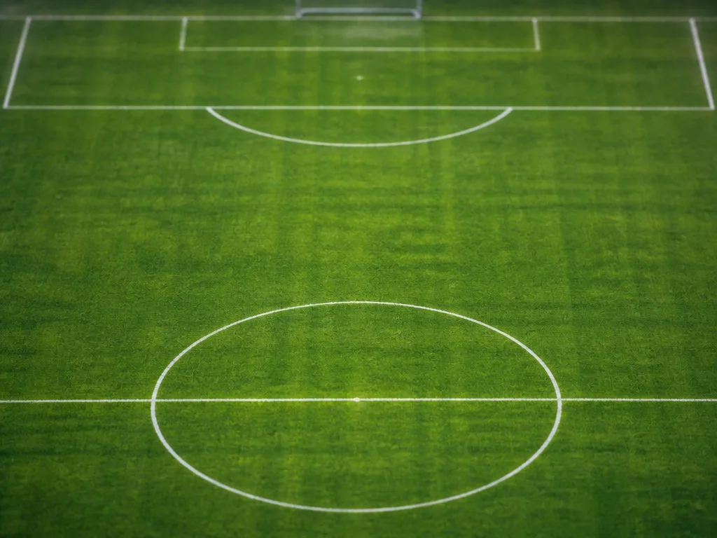 Vy uppifrån över en tom fotbollsplan med vita linjemarkeringar för straffområde och mittcirkel